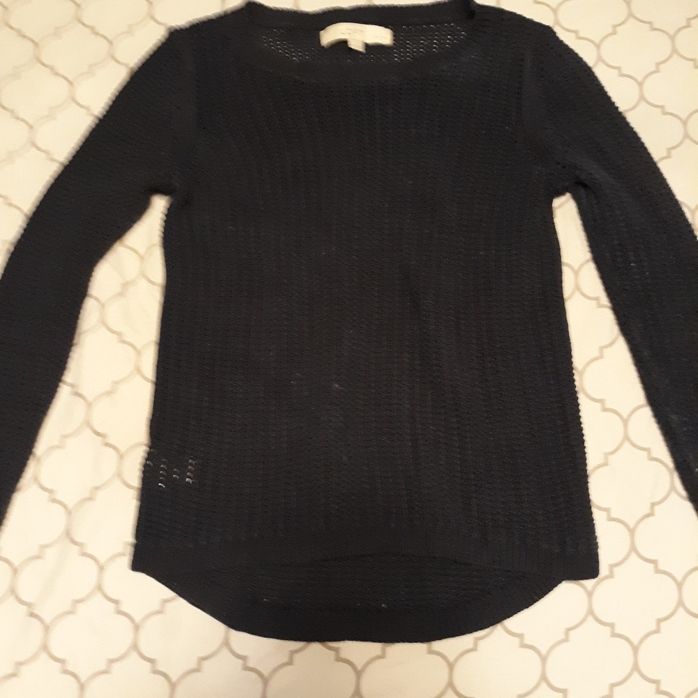 Ann Taylor LOFT knit sweater